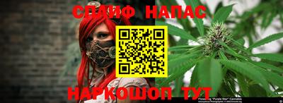 прущие грибы Краснодар