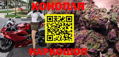 прущие грибы Краснодар
