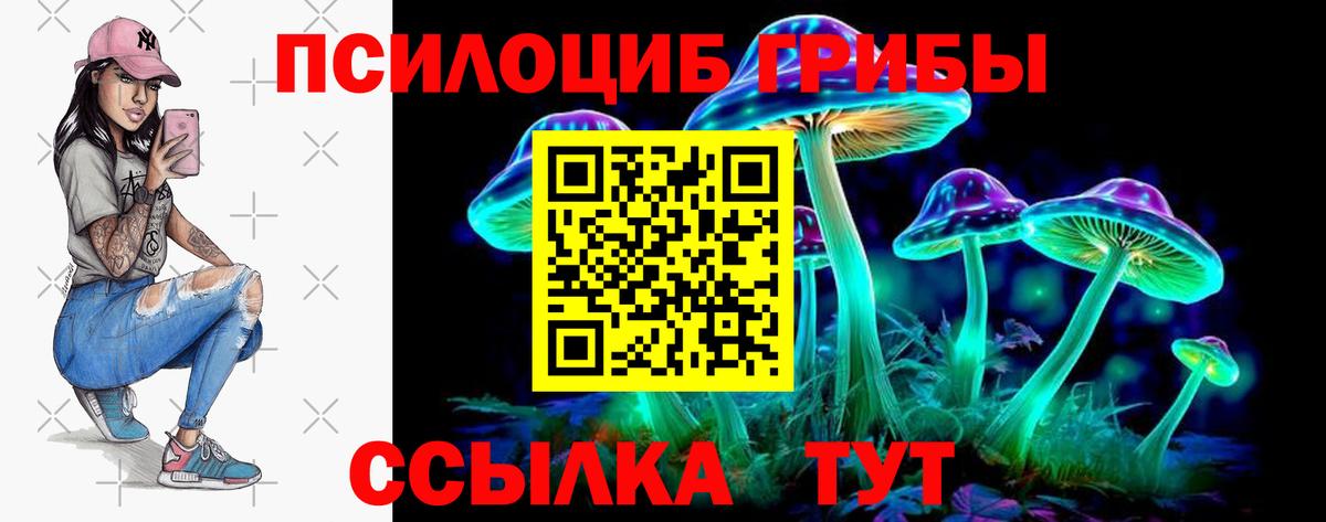 Псилоцибиновые грибы прущие грибы  Вход с VPN  Волжский 